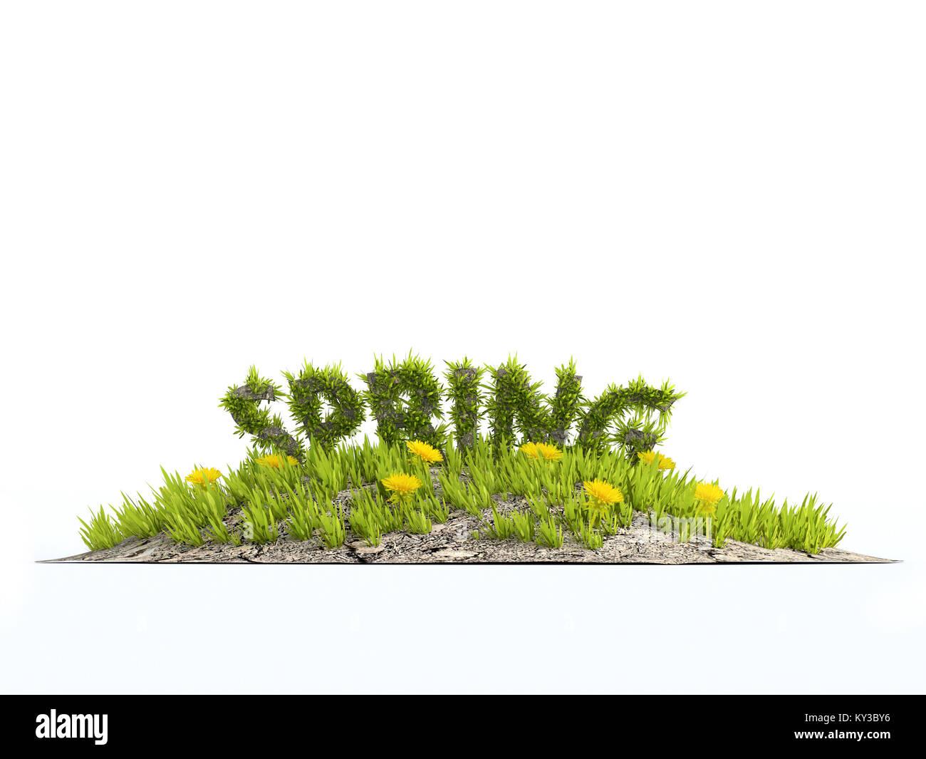 3D-Rendering von wenig Gras Insel mit gelben Blumen und Gras, Wort auf weißem Hintergrund Stockfoto