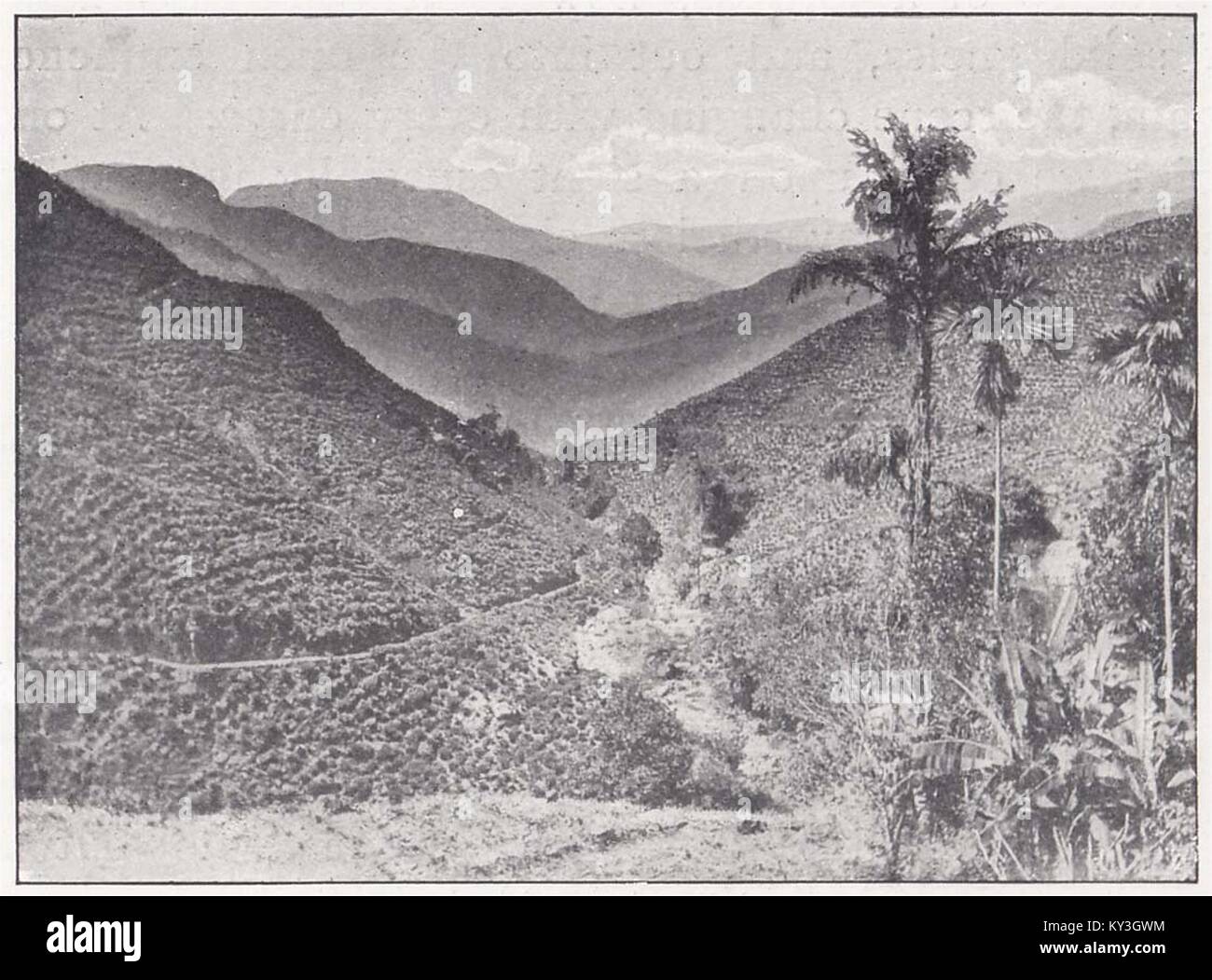 "Sofort zu den berühmten kelani Valley" Stockfoto