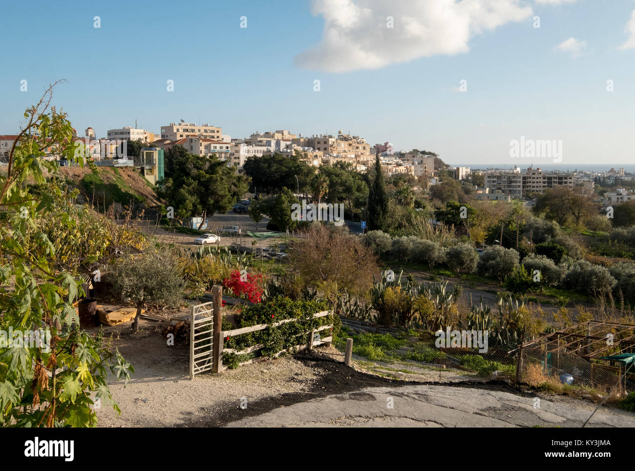 Eine Ansicht von Mouttalos in Richtung Altstadt von Paphos, Zypern Stockfoto