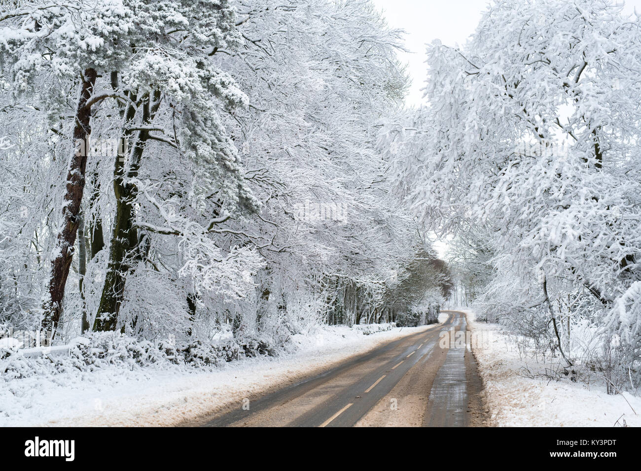 Schneebedeckte Landstraße im Dezember. In der Nähe von Chipping Campden, Cotswolds, Gloucestershire, England Stockfoto
