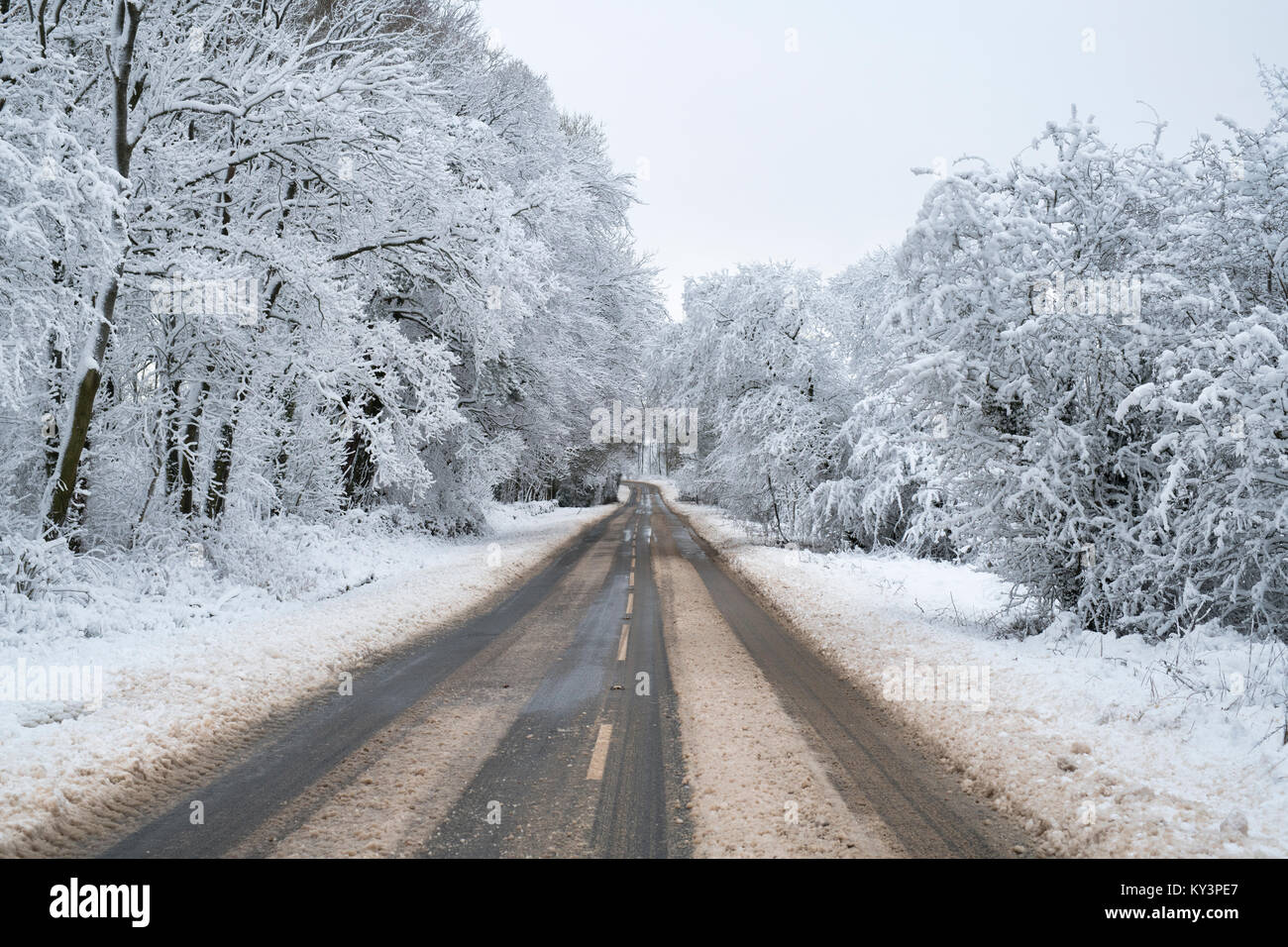 Schneebedeckte Landstraße im Dezember. In der Nähe von Chipping Campden, Cotswolds, Gloucestershire, England Stockfoto