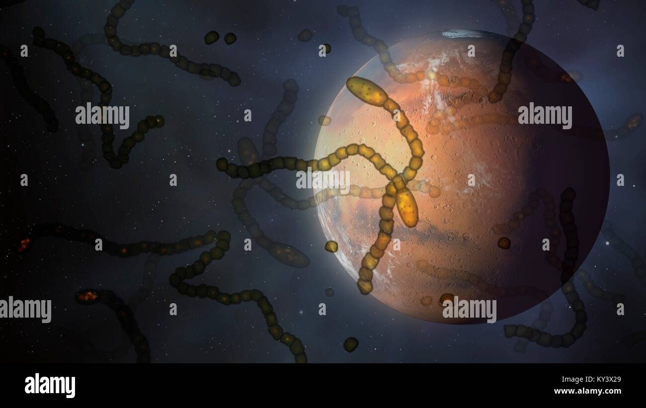 Fremde Mikroben im Raum über Mars, konzeptionelle Darstellung. Mars hatte einmal einen nassen Klima, die veranlasst viele Astronomen glauben, dass das Leben in der Vergangenheit entstanden sind, und vielleicht gibt es noch. In dieser Abbildung wird die Idee, die Mikroorganismen schweben über dem Mars. Im Jahr 1996 hat die NASA bekannt gegeben, dass sie gefunden hätten Beweise für versteinerten Mikroorganismen in einem Meteoriten vom Mars hageln. Ob jedoch diese Strukturen sind in der Tat versteinerten Lebensformen â €" oder nur Erde-basierte Kontaminanten â € "bleibt unruhig. Stockfoto
