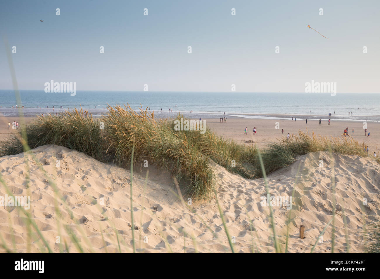 Camber Sands Beach, East Sussex, Großbritannien, an einem Sommernachmittag Stockfoto