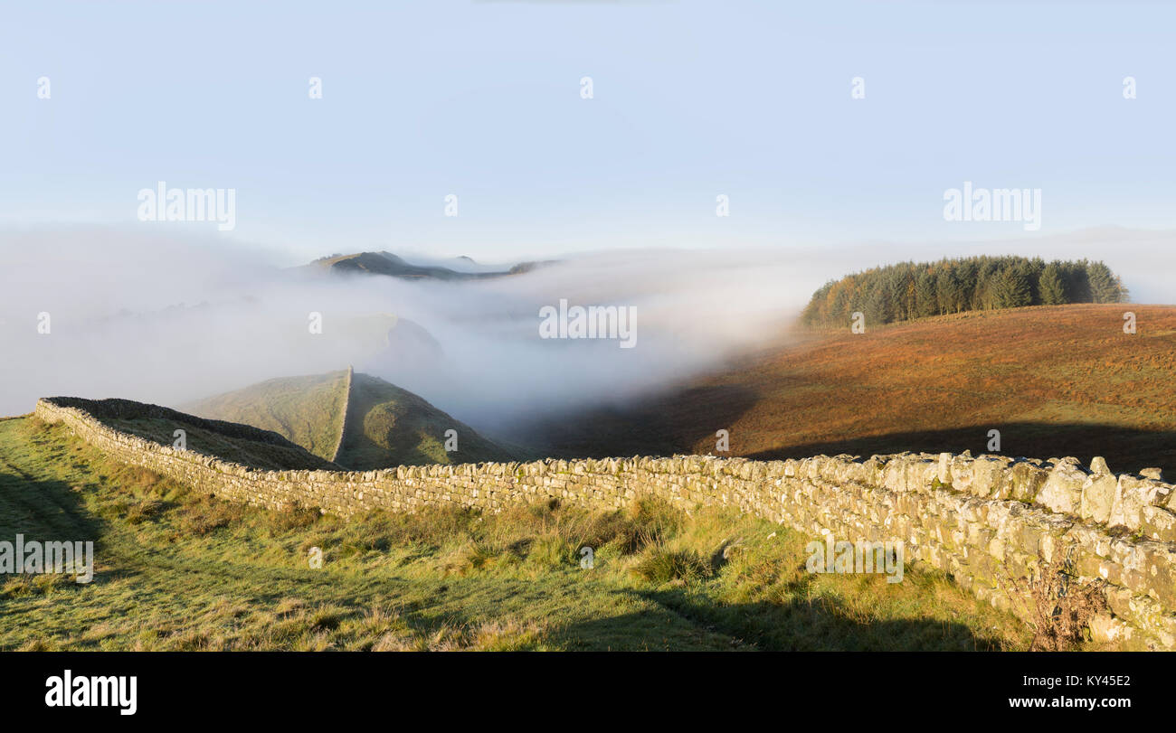 Hadrian's Wall: Am frühen Morgen, Herbst anzeigen mit Tiefliegenden Nebel, Blick nach Westen vom King's Hill, über Clew Hill und in Richtung Housesteads. Stockfoto