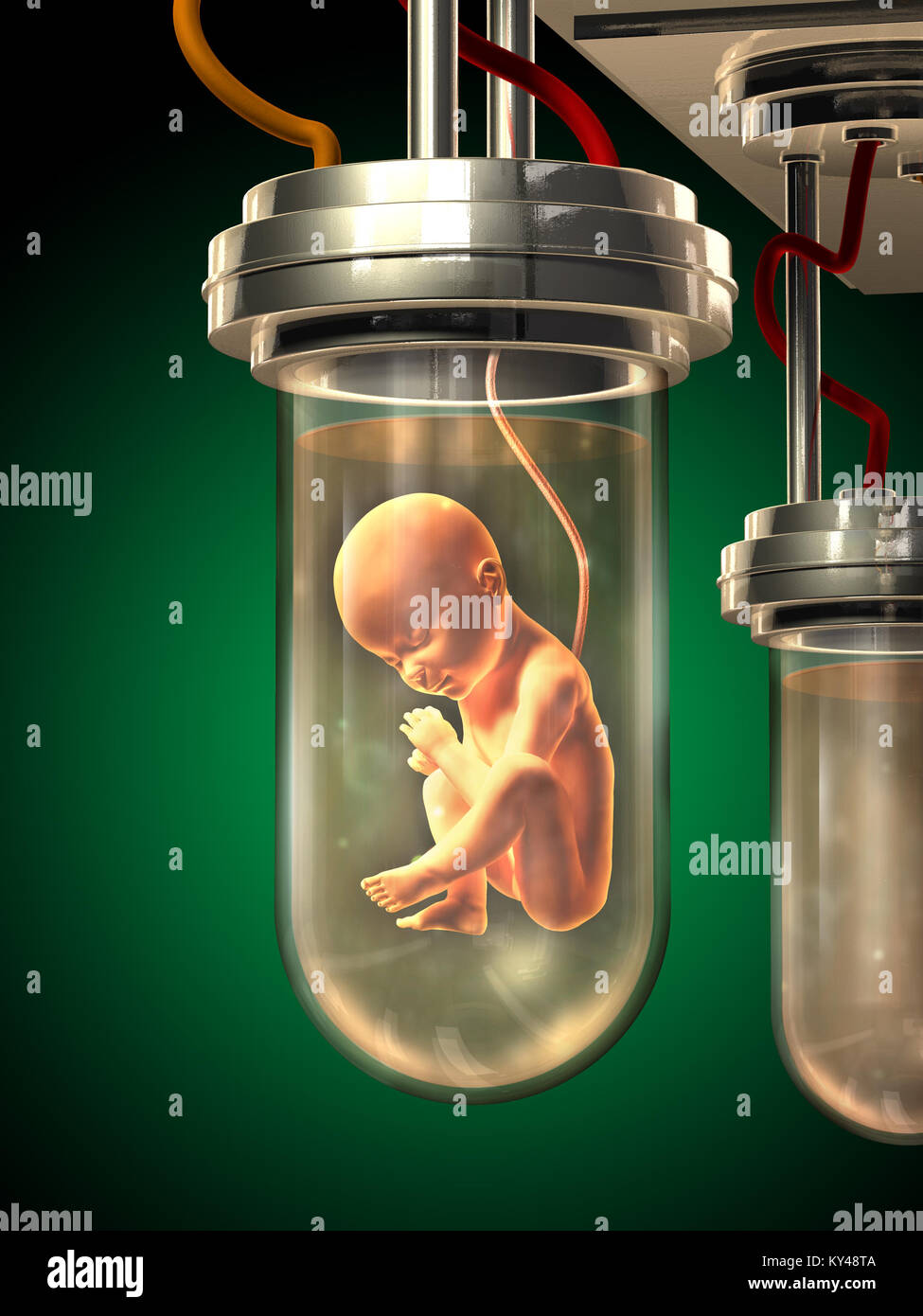Vollständig menschlichen Fötus in einem Glasbehälter entwickelt. Digitale Illustration. Stockfoto