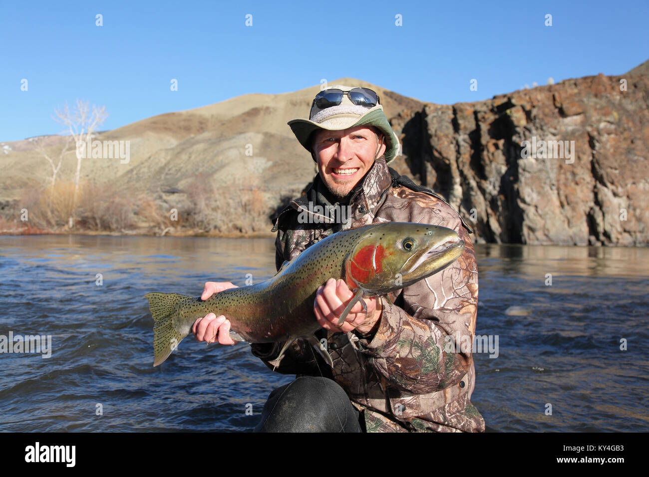 Ausgewachsener Fischer hält eine große Steelhead Forelle auf dem Lachs Fluss Stockfoto