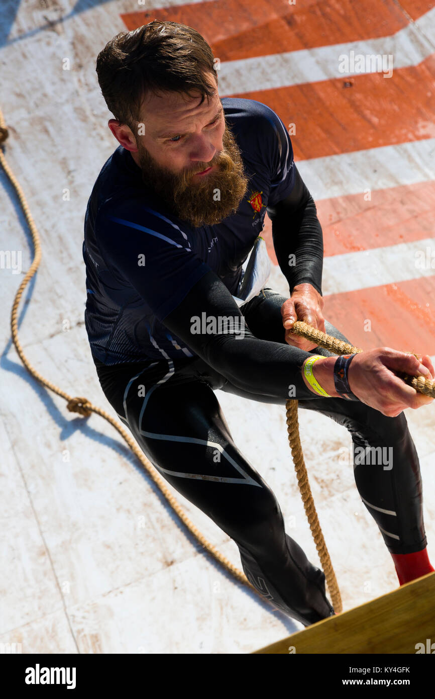 Sussex, UK. Ein männlicher Mitbewerber zeigt Entschlossenheit, als er den Everest 2.0 Hindernis während einer haltbaren Mudder event steigt. Stockfoto