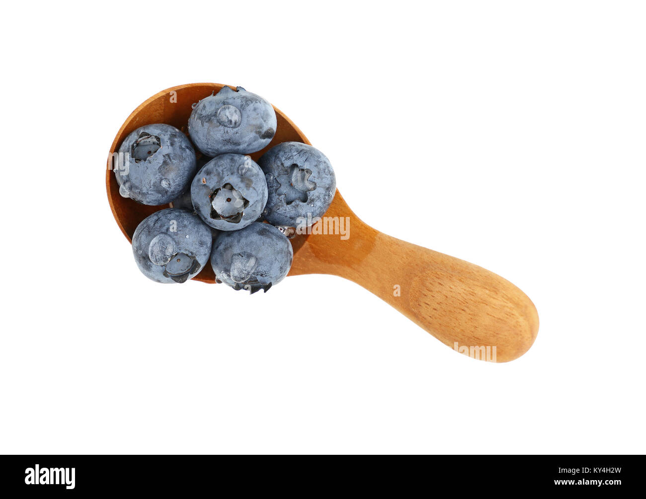 Schließen sich mehrere frisch gewaschen blueberry Beeren mit Wassertropfen in einem rustikalen natürlichen hölzernen Schaufeln Löffel auf weißem Hintergrund, erhöhte nach oben v Stockfoto