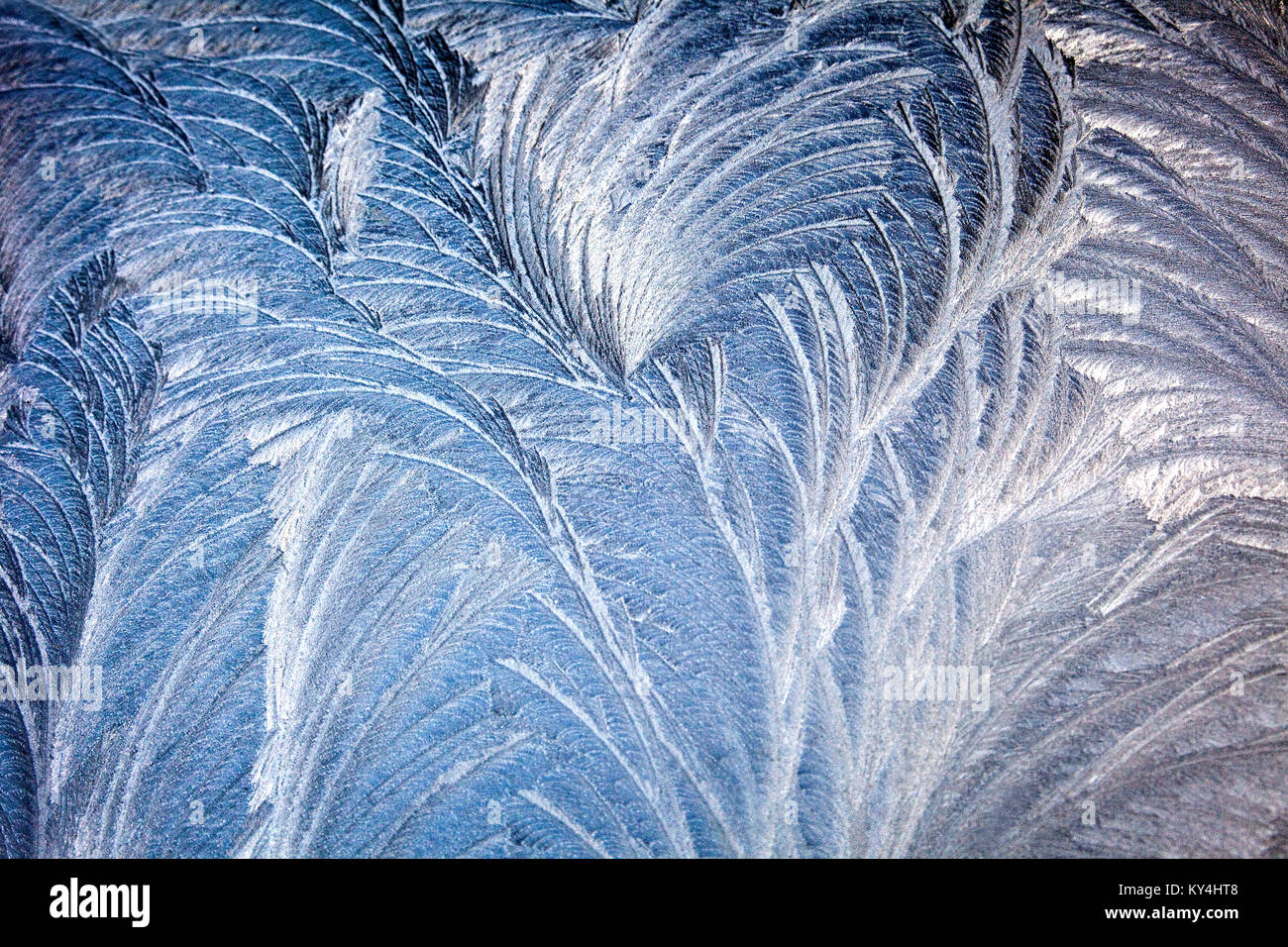 Frost am Auto Windschutzscheibe mit gefiederten die Bildung von Eiskristallen Stockfoto