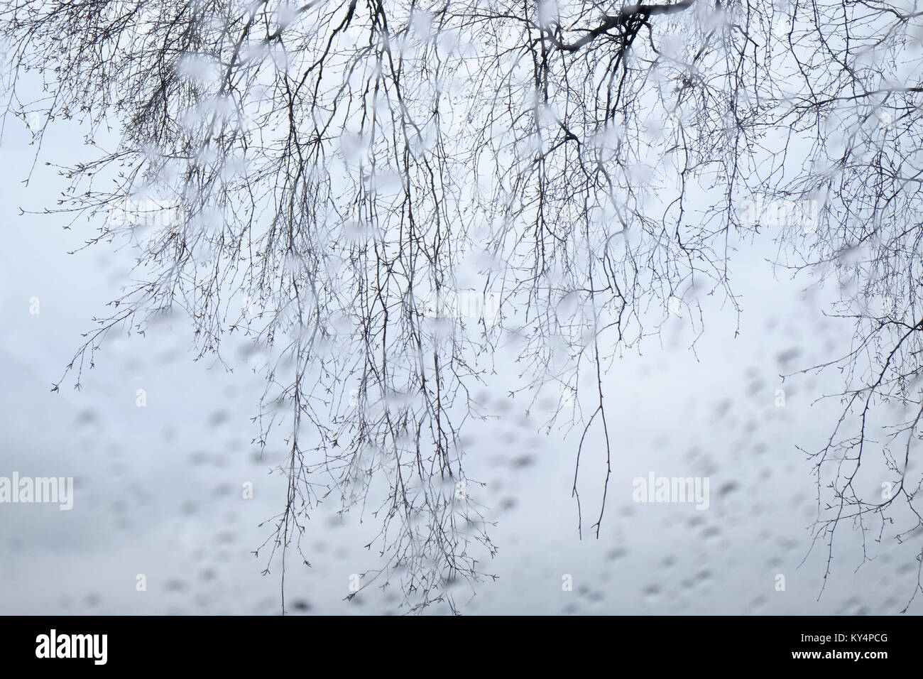 Winter Stimmung - Blick in die Natur Stockfoto