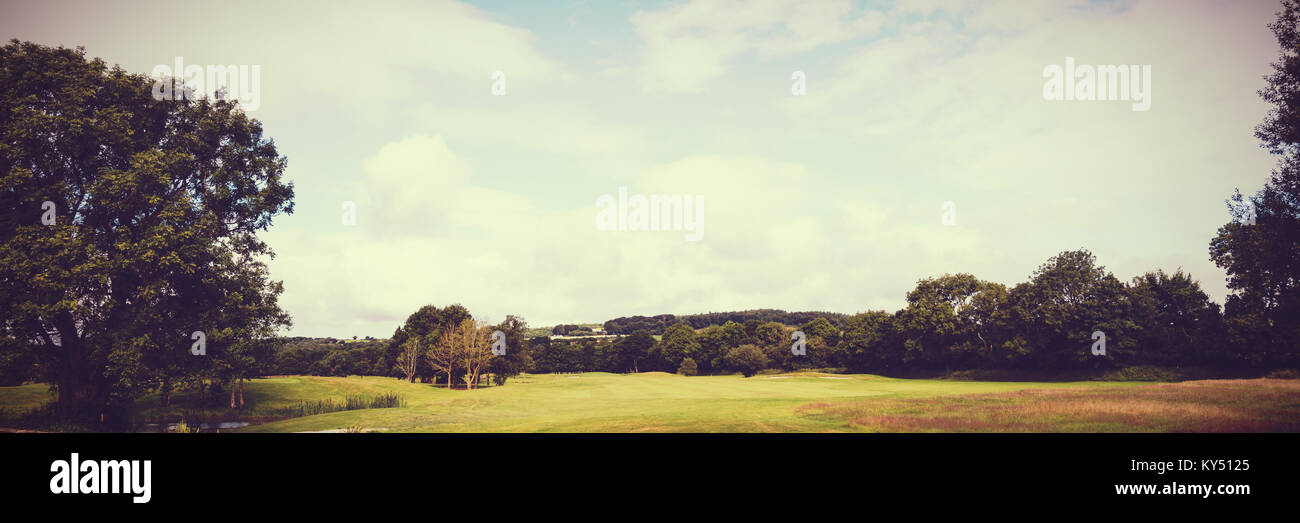 Wald und Wiesen Stockfoto