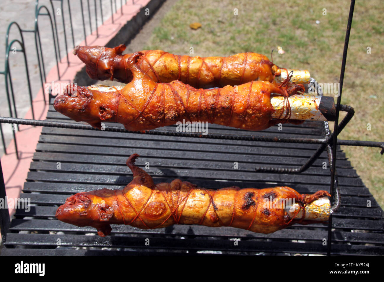 Gebratenes Meerschweinchen in Ecuador Stockfoto