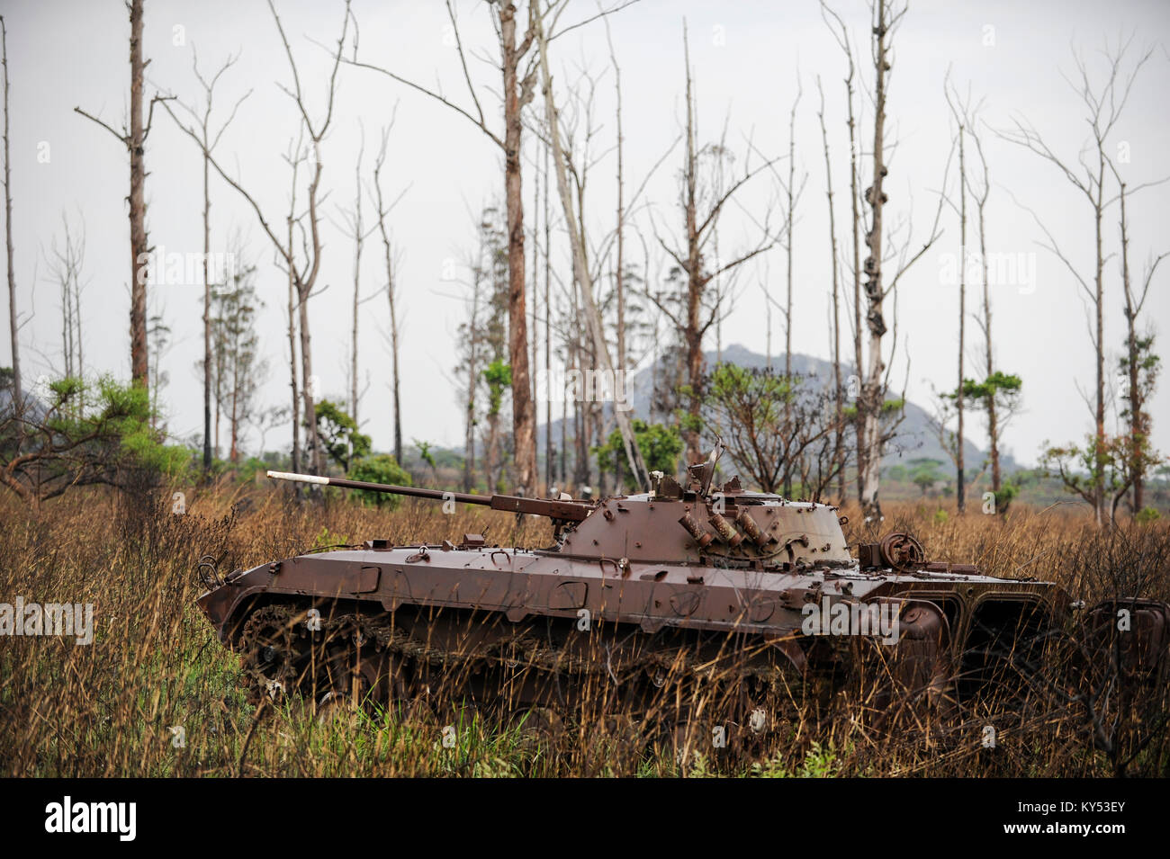 ANGOLA, Kwanza Sul, Wrack des alten sowjetischen russischen Panzers BMP-1 aus dem Bürgerkrieg zwischen MPLA und UNITA bei Quibala, einige Gebiete verfügen über Landminen und machen die Landwirtschaft unmöglich / ANGOLA, Panzerwrack aus dem Buergerkrieg 1975 - 2002 zwischen MPLA und UNITA bei Quibala, Einige Landstriche sind immer noch mint und lassen keine Landwirtschaft zu Stockfoto