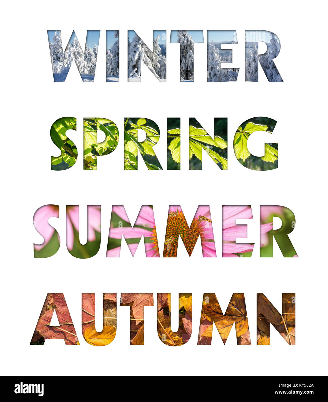 Bildunterschriften Winter, Frühling, Sommer, Herbst von Four Seasons Fotos für Kalender, Flyer, Plakat, Postkarte. Vier Jahreszeiten Farben. Stockfoto
