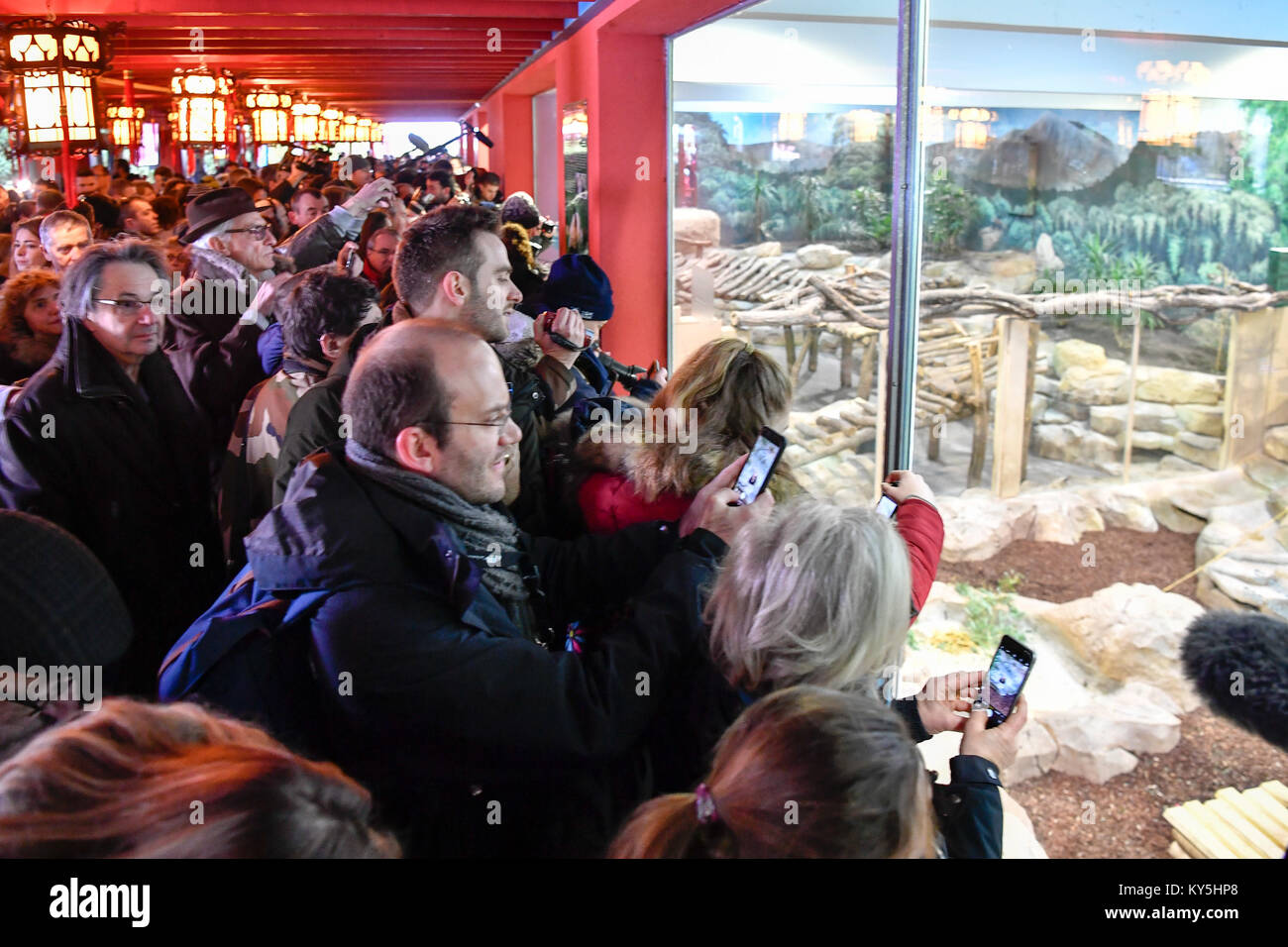 Saint Aignan. 13 Jan, 2018. Besucher beobachten Sie die Panda Baby' Yuan Meng' an der Zooparc de Beauval in Saint-Aignan, Frankreich am Jan. 13, 2018. Der erste panda Cub geboren in Frankreich "Yuan Meng' debuts mit der öffentlichkeit am Samstag Morgen. Credit: Chen Yichen) (Lrz/Xinhua/Alamy leben Nachrichten Stockfoto