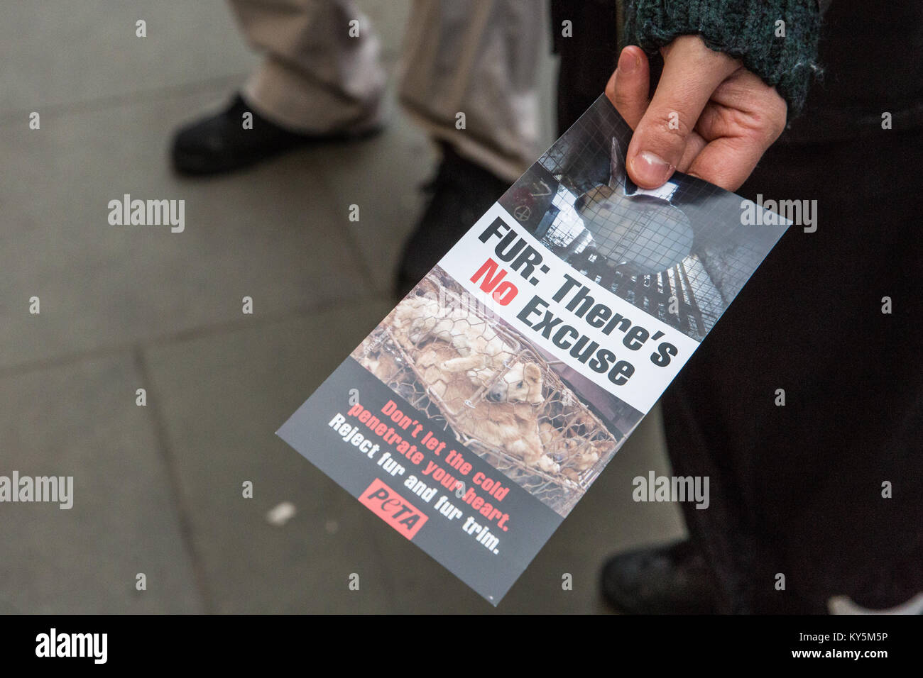 London, Großbritannien. 13 Jan, 2018. Die Rechte der Tiere Tierschützer bieten Broschüren während eines Protestes außerhalb Kanadas Gans Flagship Store in der Regent Street gegen die grausamen Fangmethoden für wilde Kojoten in der Kleidung des Unternehmens verwendet, um Passanten. PETA behaupten, dass eingeschlossene Kojoten für Tage leiden können während der blutverlust, Schock, Dehydratation, Erfrierungen, Gangrän und Angriffe von anderen Raubtieren und, dass die Tiere noch am Leben, wenn der Trapper liefert dann eingeschnürt sind, eingeprägt oder geprügelt. Credit: Mark Kerrison/Alamy leben Nachrichten Stockfoto