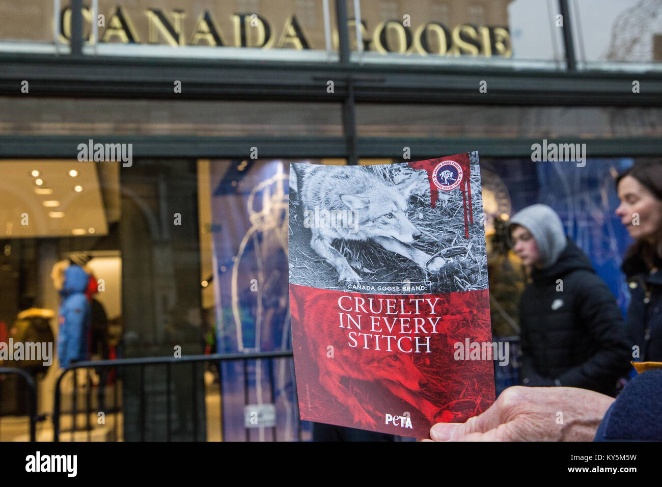 London, Großbritannien. 13 Jan, 2018. Die Rechte der Tiere Tierschützer bieten Broschüren während eines Protestes außerhalb Kanadas Gans Flagship Store in der Regent Street gegen die grausamen Fangmethoden für wilde Kojoten in der Kleidung des Unternehmens verwendet, um Passanten. PETA behaupten, dass eingeschlossene Kojoten für Tage leiden können während der blutverlust, Schock, Dehydratation, Erfrierungen, Gangrän und Angriffe von anderen Raubtieren und, dass die Tiere noch am Leben, wenn der Trapper liefert dann eingeschnürt sind, eingeprägt oder geprügelt. Credit: Mark Kerrison/Alamy leben Nachrichten Stockfoto