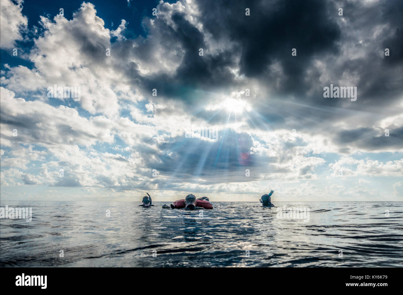 SAN ANDRES ISLAND, Kolumbien ca. März 2017. Frei-Taucher an der Oberfläche Fertig, zu einem tieferen Ort für Tauchen in der Karibik Deep Blue zu bewegen Stockfoto