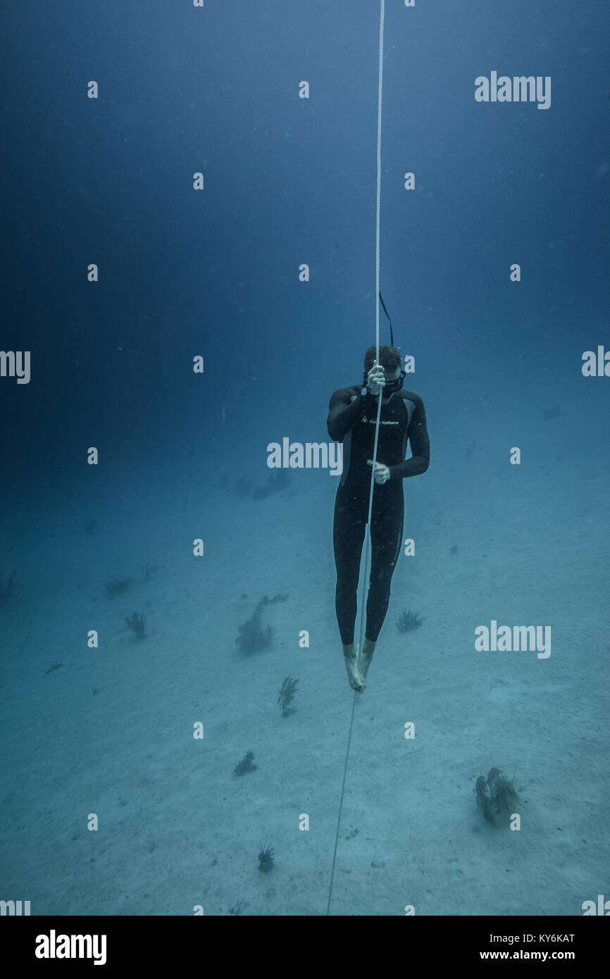 SAN ANDRES ISLAND, Kolumbien ca. März 2017. Freediverin Tauchen und nach dem Leben Linie zu aller Zeit in das tiefe Blau der San Andres Island, Colomb Stockfoto