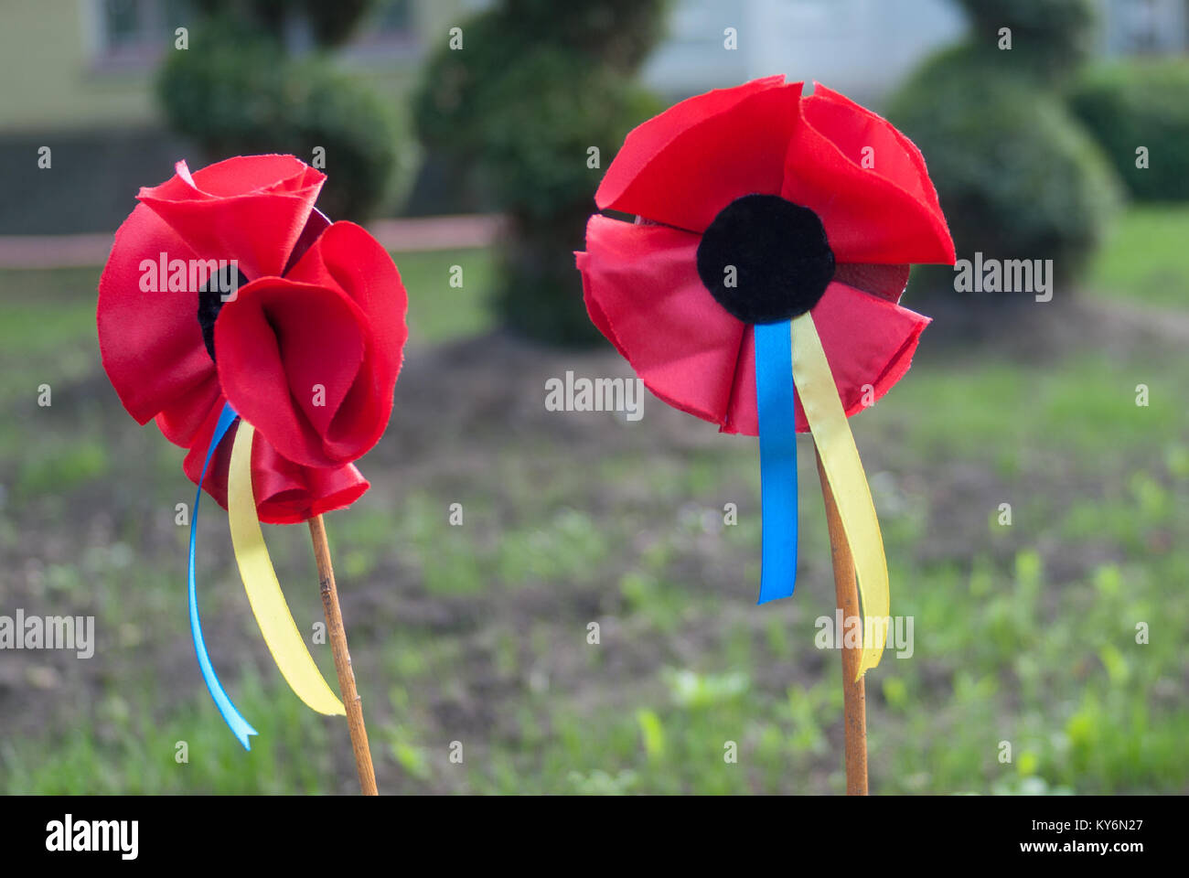 Roter Mohn als Symbol für den Sieg über den Nationalsozialismus und das Gedenken an die Opfer des Zweiten Weltkriegs, gefeiert in der Ukraine während der Tag des Gedenkens Stockfoto