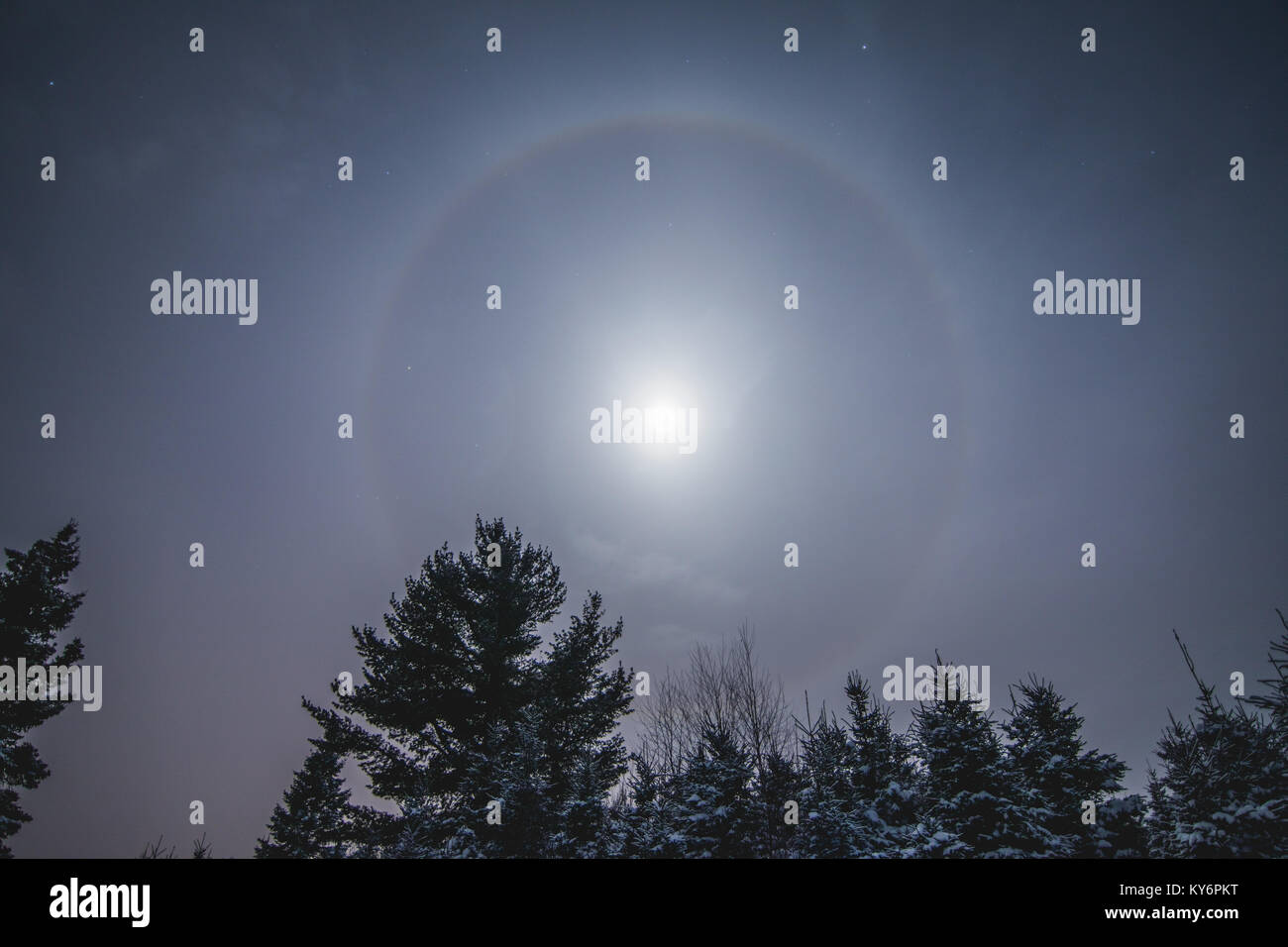 Mondelfen Kopfschmuck Mit Geweih - Wald Fee Krone Für Cosplay & Halloween