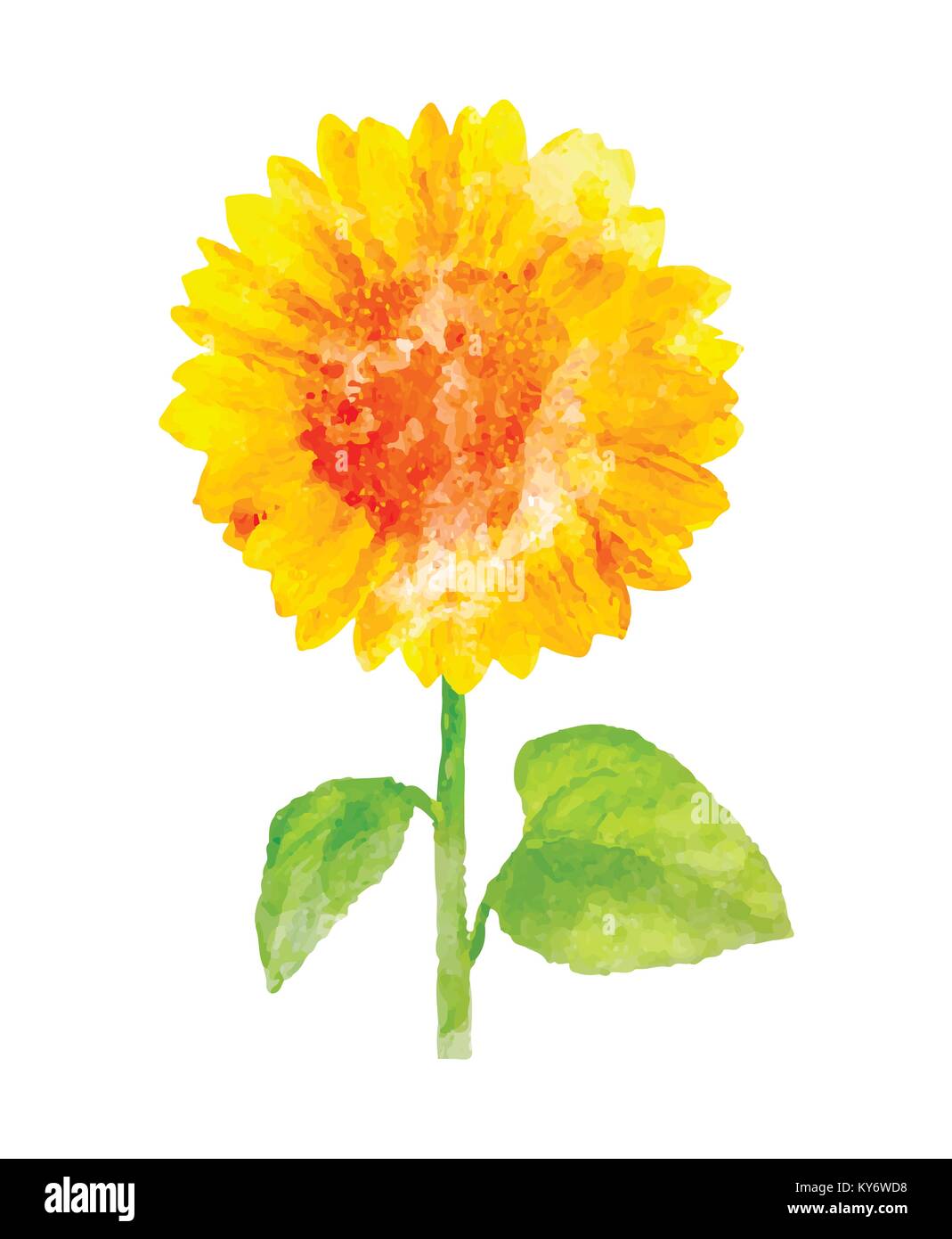 Aquarell Sonnenblumen auf weißem Stock Vektor