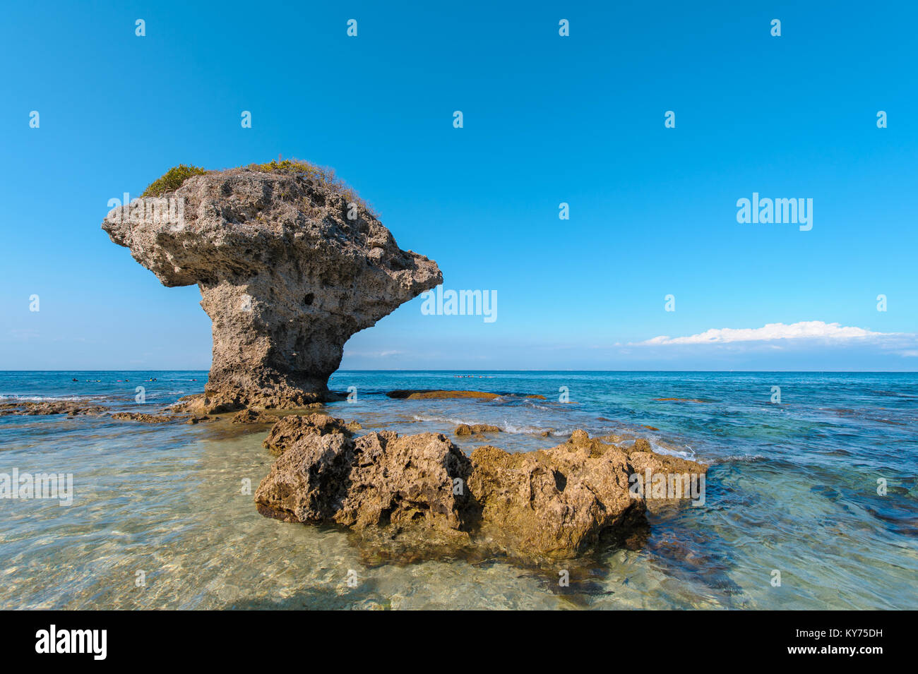 Blumenvase Coral Rock bei Lame Insel in Taiwan Stockfoto
