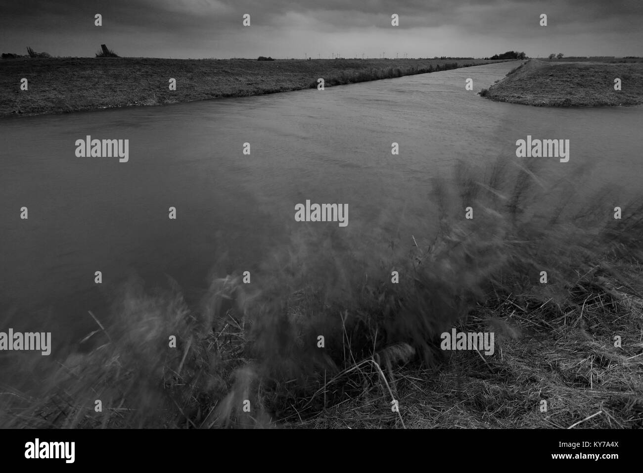 Windigen Tag über die Zwanzig Fuß Ablassen in der Nähe von Whittlesey Stadt, Cambridgeshire, England, Großbritannien Stockfoto