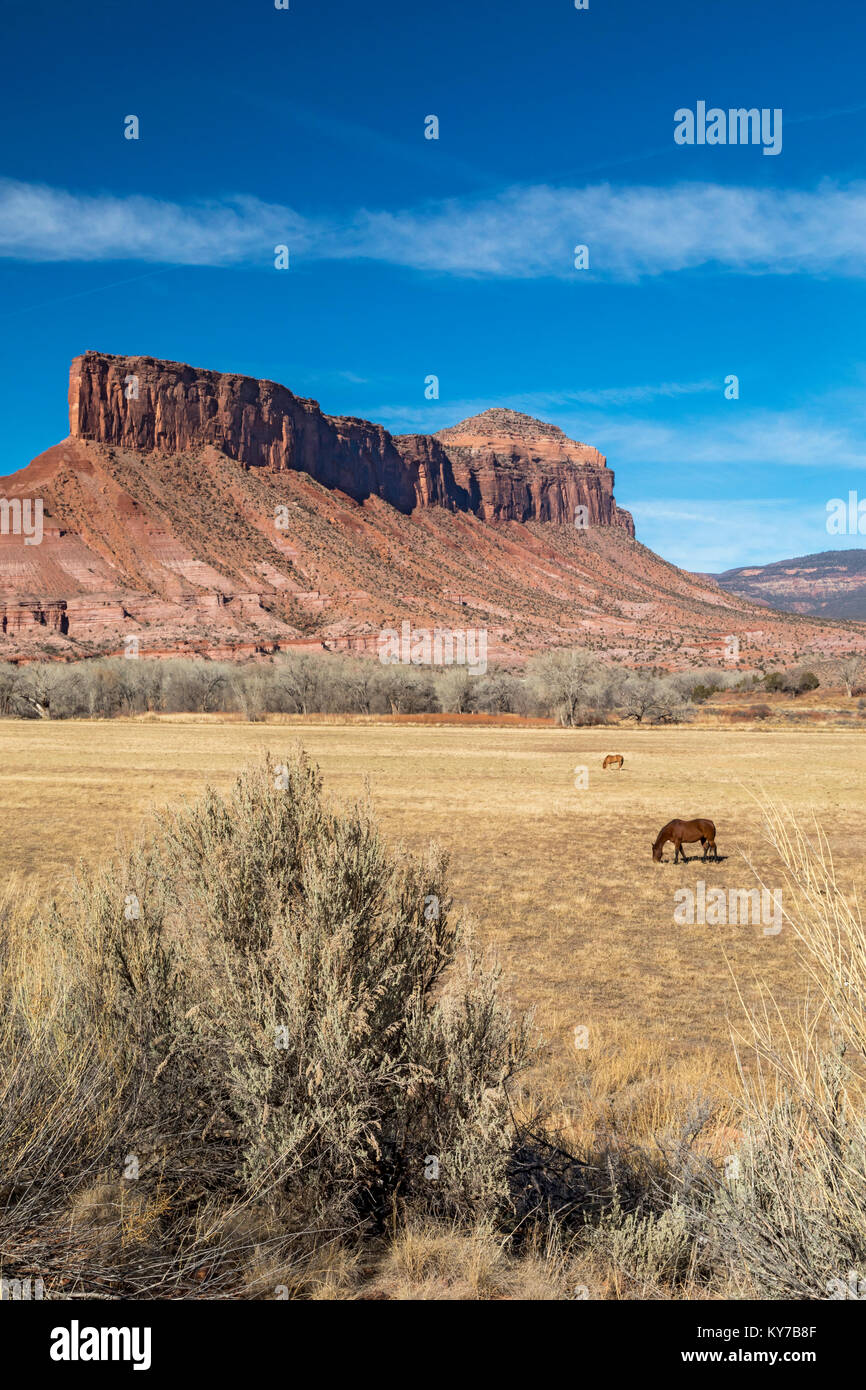 Gateway, Colorado - Pferde weiden unterhalb der Palisade in Colorado's Canyon Land entlang der Unaweep/Tabeguache Scenic Byway (State Highway 141). Stockfoto