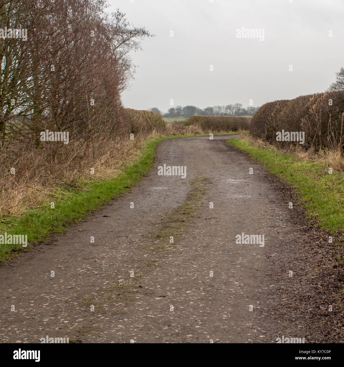 Burradon Farm Cottages Öffentlichen Fußweg Stockfoto