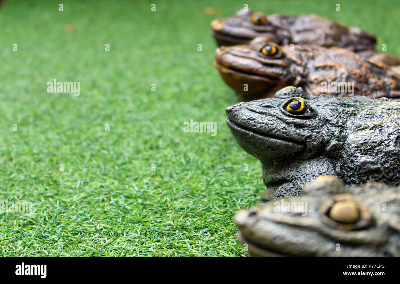 Frosch auf Gras Stockfoto