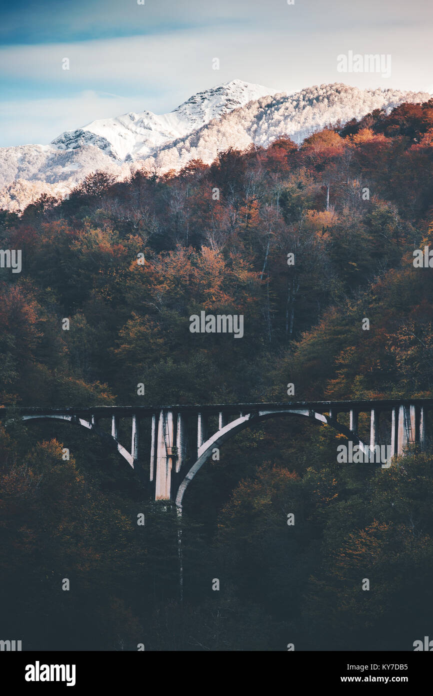 Eisenbahnbrücke und verschneite Berge Landschaft mit Wald reisen Landschaften epischen anzeigen Stockfoto