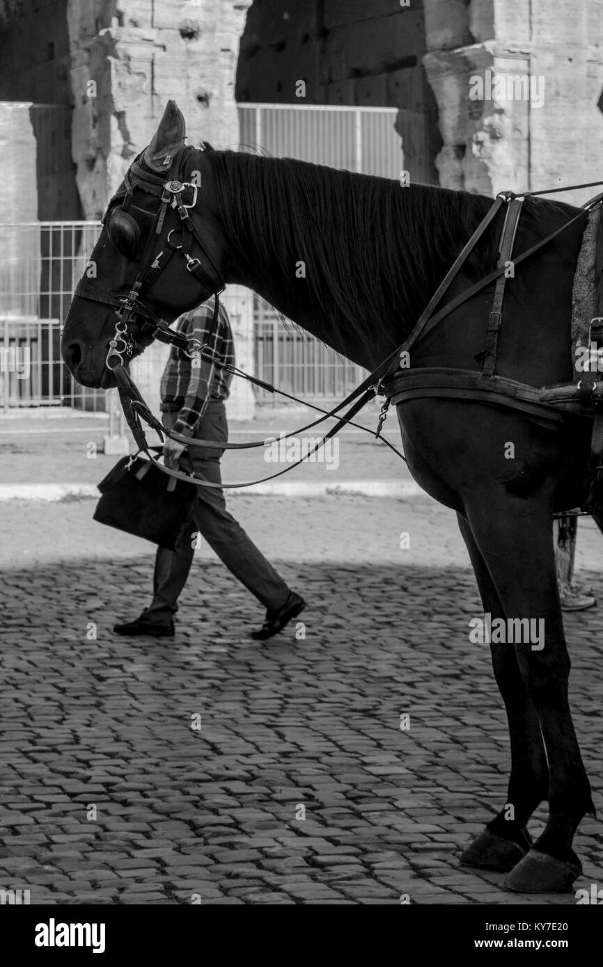 Street Style fotografie Schwarz und Weiß neben Kolosseum Rom, Italien Stockfoto