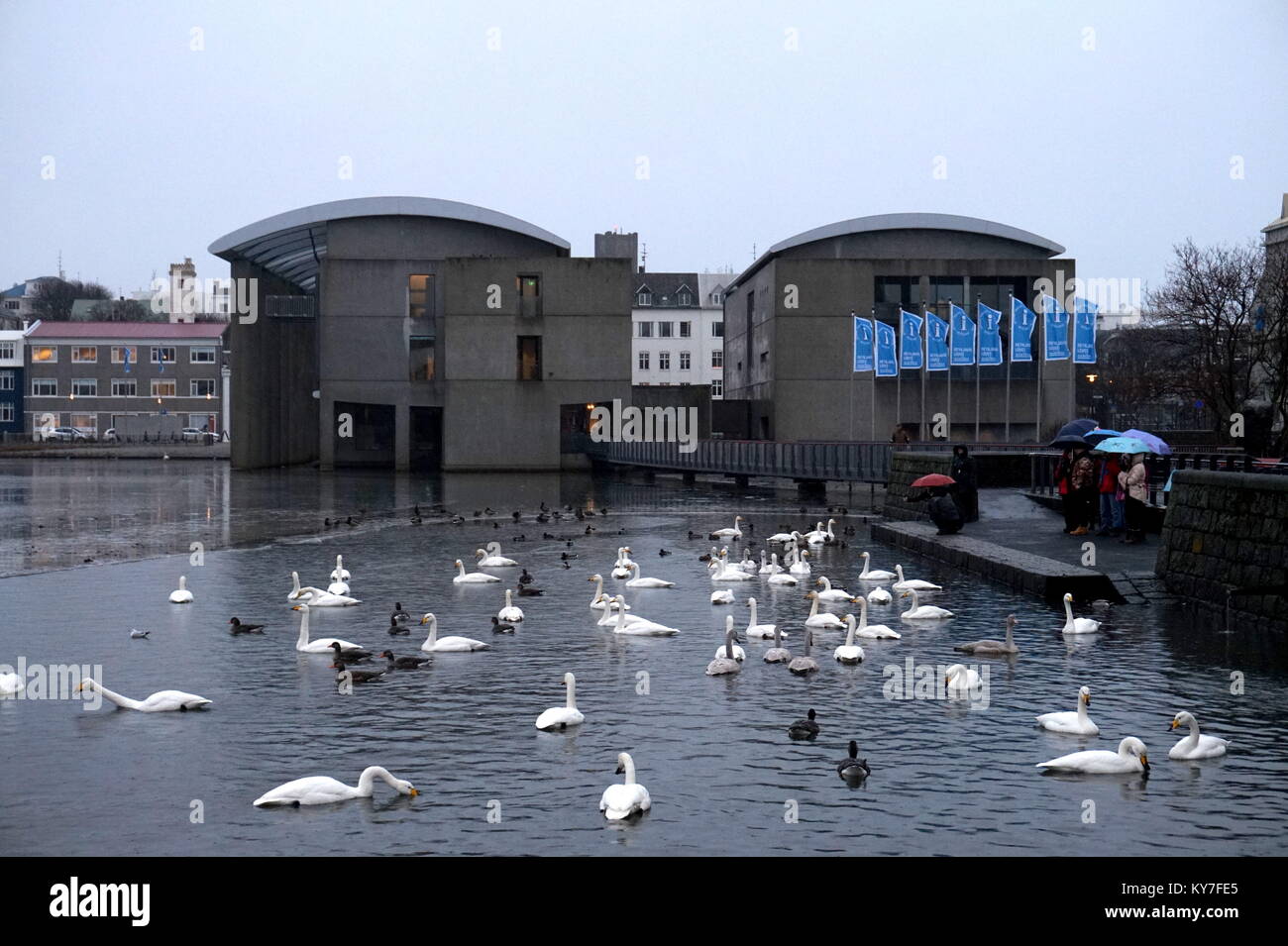 Ráðhús Reykjavíkur Rathaus- und Informationszentrum und den Tjörnin (Teich), Reykjavík, Island Stockfoto