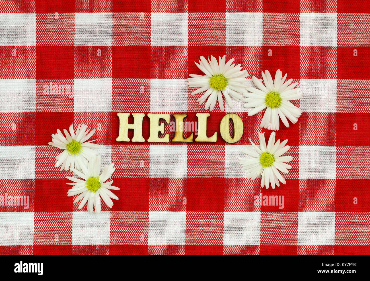 Hallo mit Holz Buchstaben auf kariertem Tuch mit weißen Gänseblümchen Blumen geschrieben Stockfoto