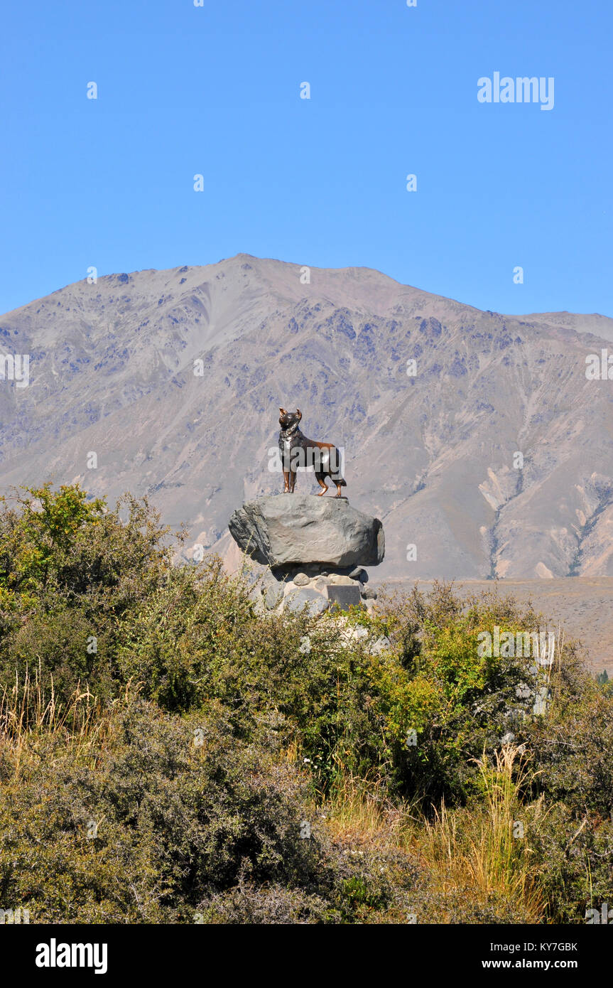 Am Lake Tekapo ist eine bekannte Bronzestatue einer Neuseeland Collie Schäferhund. Die Statue wurde von Mackenzie Land Bewohner in Betrieb genommen Stockfoto