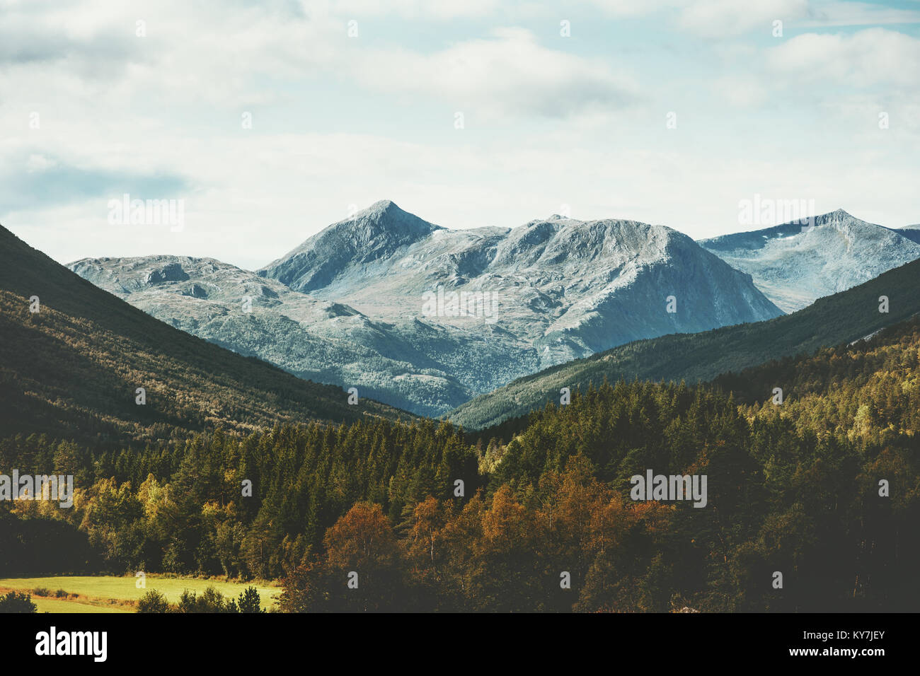 Berge und Wald Landschaft in Norwegen Luftaufnahme der skandinavischen Natur Reise Wüste Stockfoto