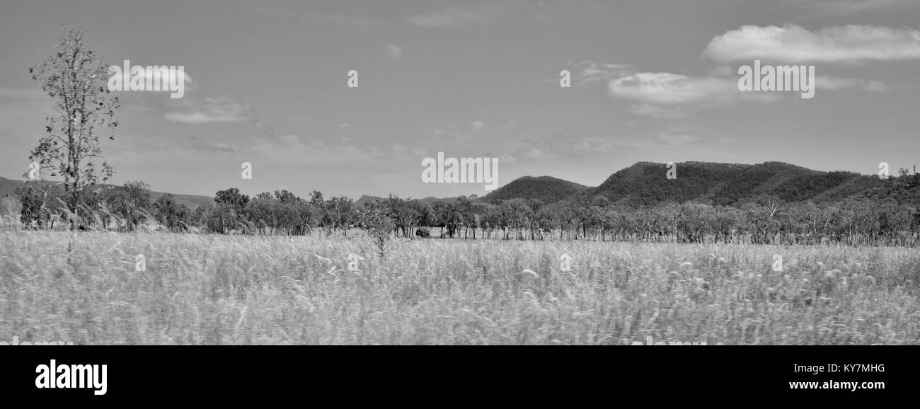 Ackerland und Bush in der Nähe von Clairview, Queensland, Australien Stockfoto