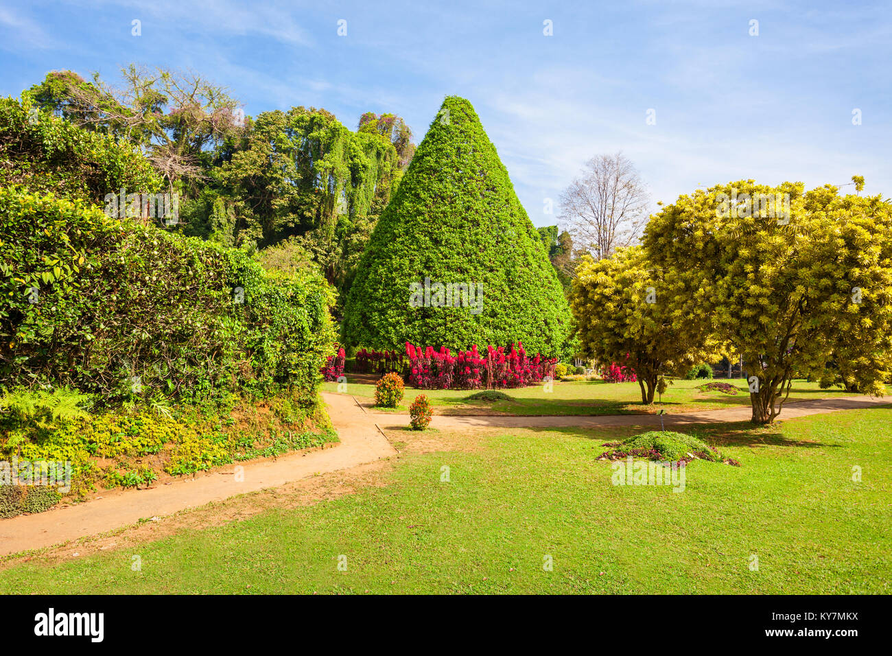 KANDY, SRI LANKA - 21. FEBRUAR 2017: peradeniya Royal Botanic Gardens in der Nähe von Kandy, Sri Lanka. Peradeniya Royal Botanic Gardens sind die la Stockfoto