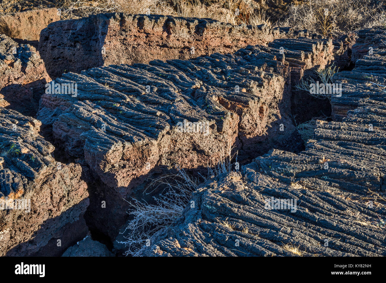 Tiefe Risse in Pahoehoe Lavafeld Malpais, Carrizozo Lava an der Senke von Bränden Erholungsgebiet, Tularosa tat Becken in der Nähe von Carrizozo, New Mexico, USA Stockfoto