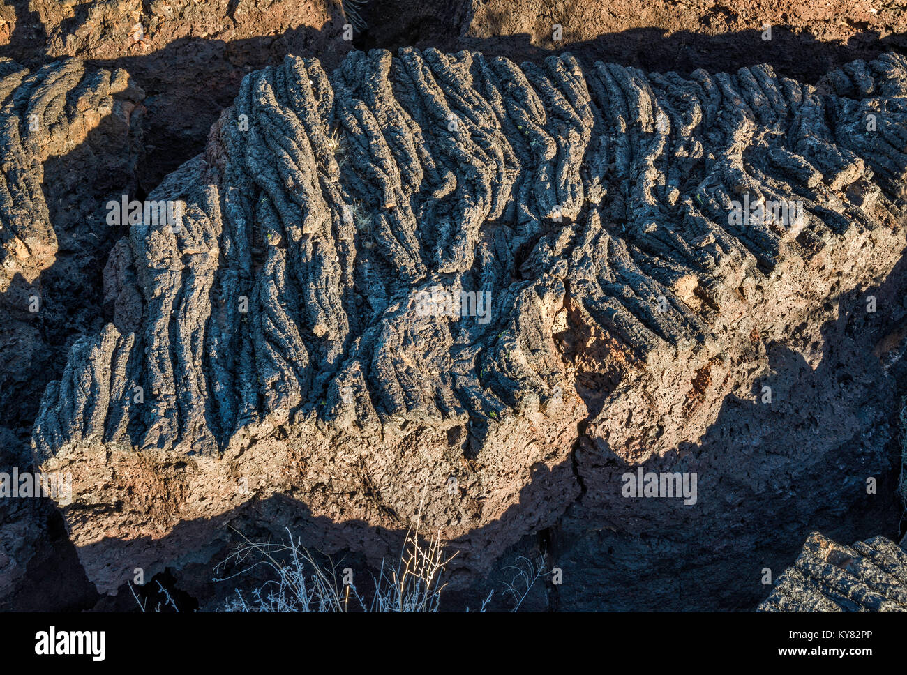 Klumpen von Pahoehoe-lava, Carrizozo Malpais Lavastrom im Tal von Bränden Erholungsgebiet, Tularosa tat Becken in der Nähe von Carrizozo, New Mexico, USA Stockfoto