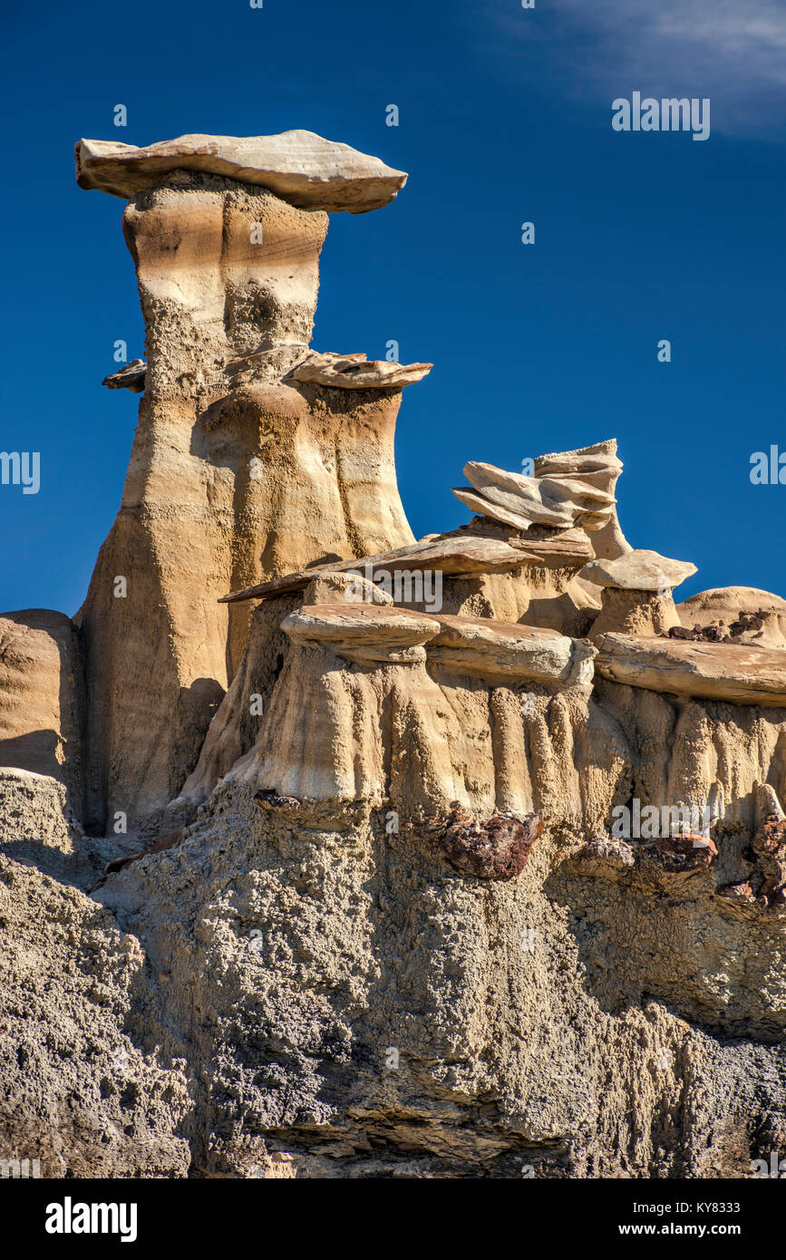 Braun Hoodoos Bereich Formationen, Bisti De-Na-Zin Wilderness, New Mexico, USA Stockfoto