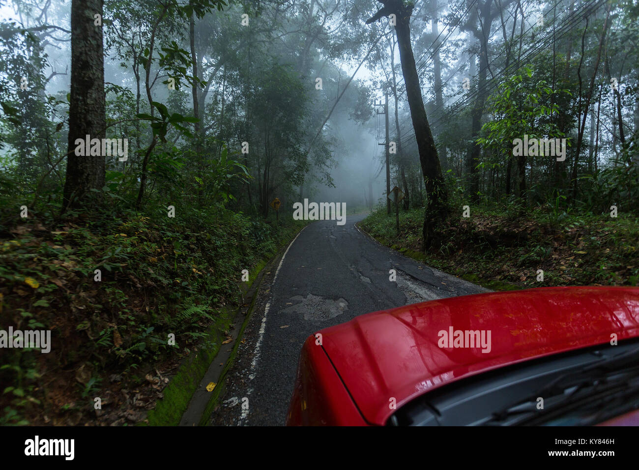 Nasse gepflasterte Straße im Regenwald mit Nebel und Regen Tag Stockfoto