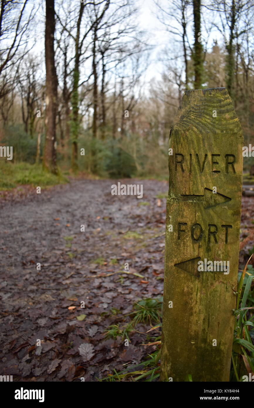 Holz- Wegweiser, die den Weg zu einem Fluss und einem Fort in einem Wald Wanderweg Einstellung in Hembury Holz nahe Buckfast in Devon. Stockfoto