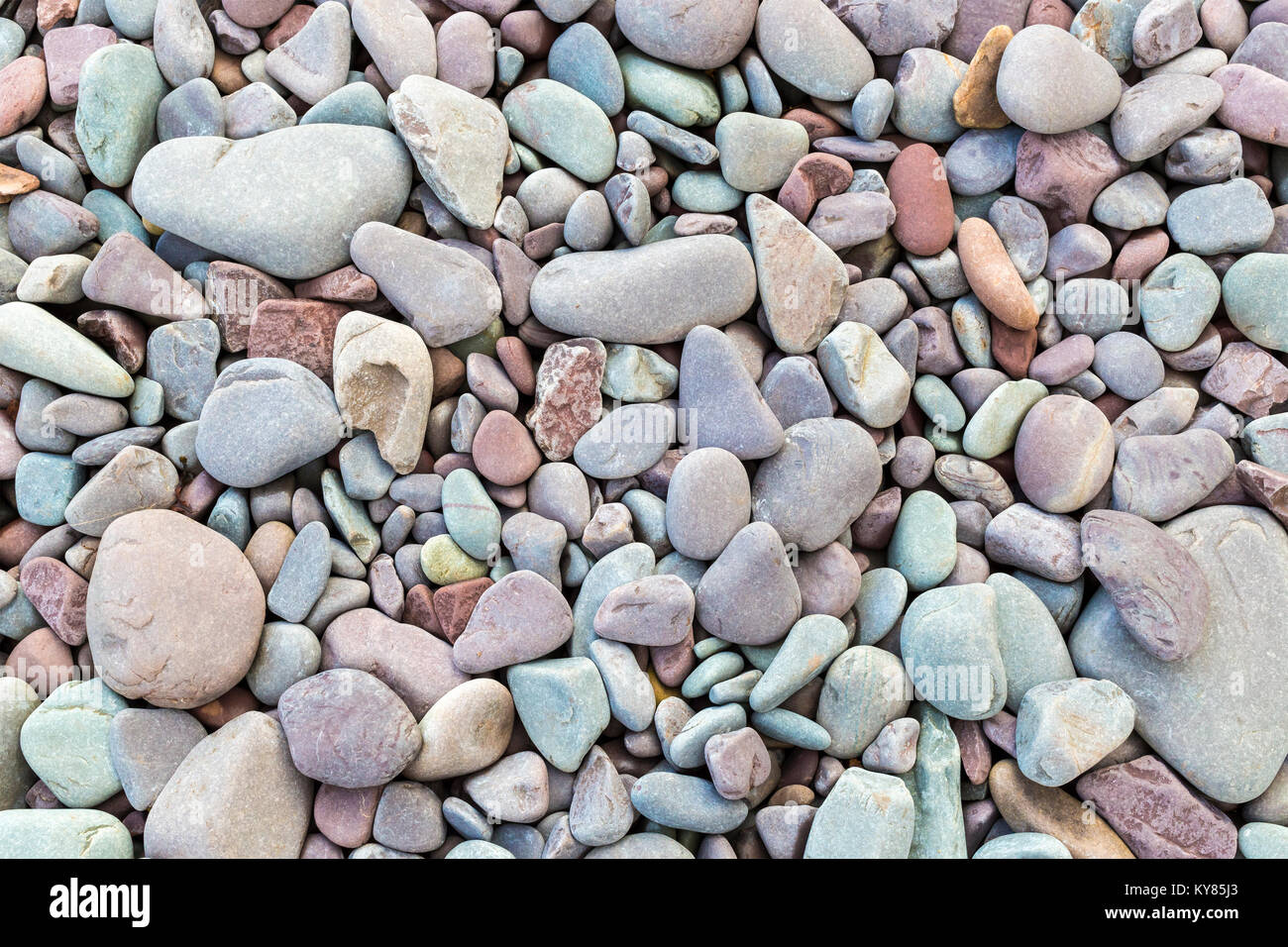 Full Frame Beach Pebble Hintergrund. Stockfoto