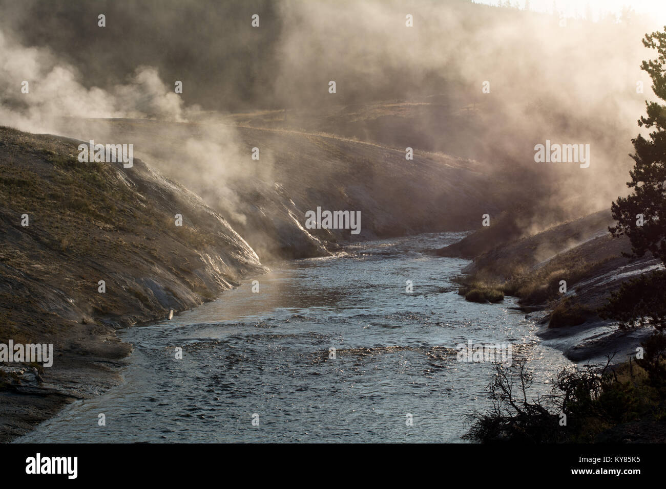 Geothermisches Wasser im Yellowstone National Park Stockfoto