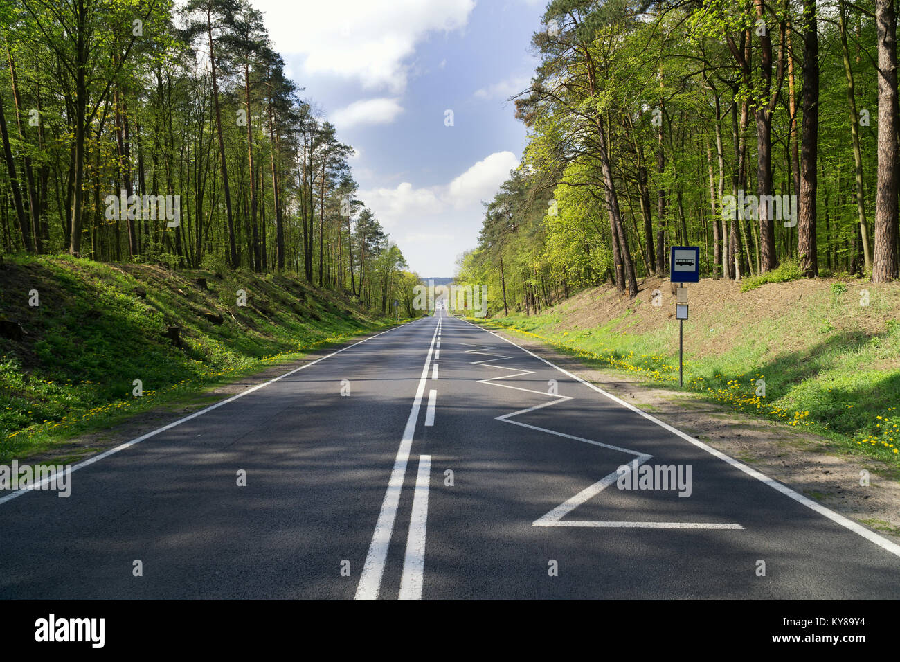 Asphaltierte Straße durch den Wald in hügeligem Gelände und Wolken am blauen Himmel. Weiße Linien auf dem Asphalt, Bushaltestelle Stockfoto