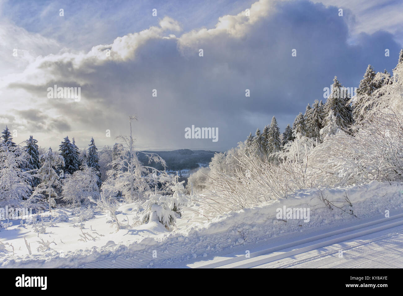 Winterlandschaft, Bäume in den Bergen mit Raureif im sonnigen Tag bedeckt, dramatische Wolken im Himmel Stockfoto