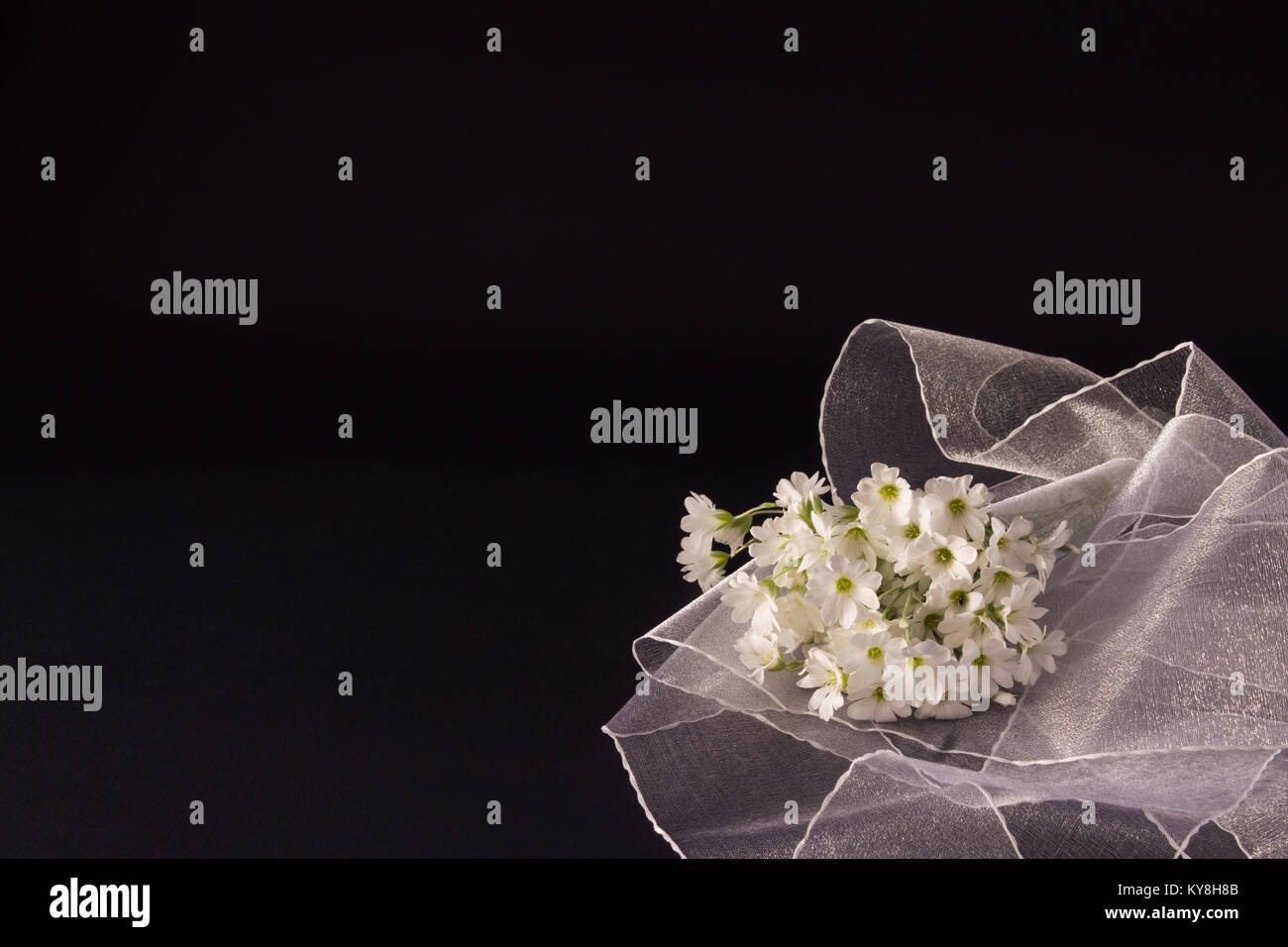 Blumenstrauß aus kleinen weißen Blüten mit einem weißen Schleier auf schwarzem Hintergrund Textur Stockfoto