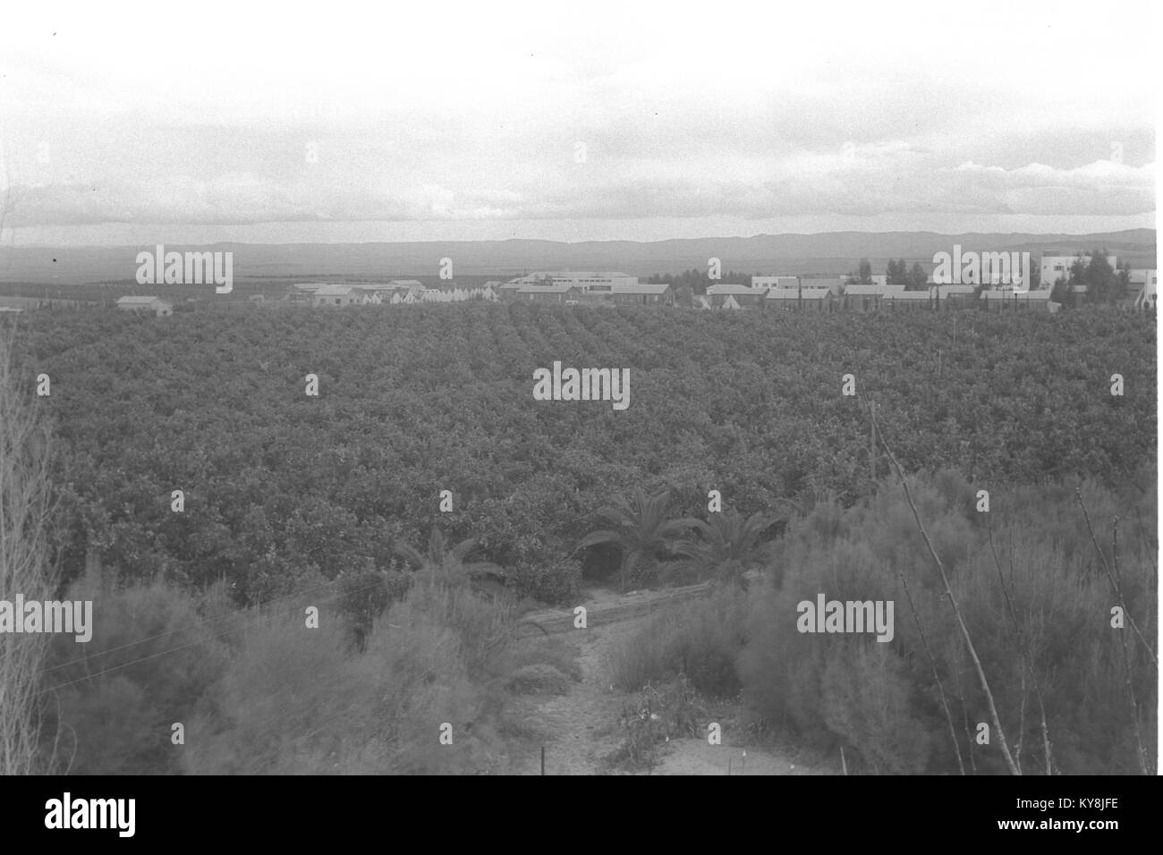 Kibbuz Na'an in Israel mit landwirtschaftlichen Feldern, kommunalen Gebäuden und Infrastruktur, die kollektive landwirtschaftliche Praktiken und das Gemeinwesen veranschaulichen. Stockfoto
